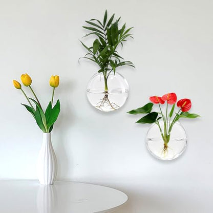 Wall Hanging Propagation Station 6 Pack Oblate Glass Hydroponic Plant Vases | Decorative Wall Mount Planter Vases for Home Bathroom Office, Perfect Housewarming Gift ﻿
