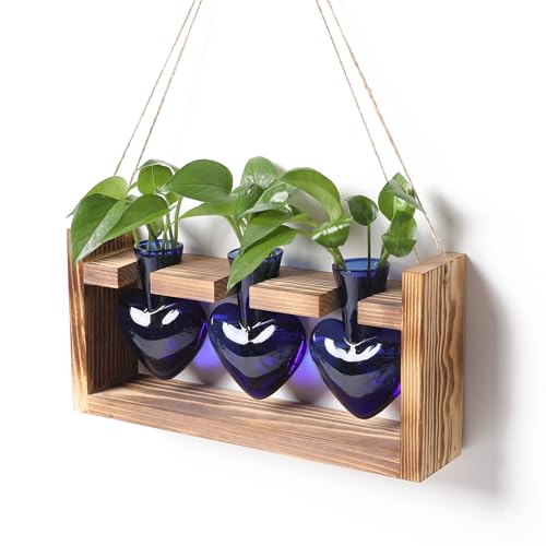 Plant Terrarium Propagation Stations Hydroponics | Home Garden Decoration Gift for Women with Wooden Stand Heart Shaped Colored Glass Vase - color: Blue
