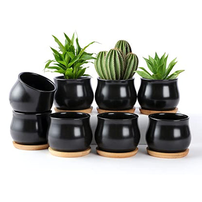 SHECIPIN 8 Pack Succulent Plant Pot, Matte Black Mini 2.6 inch Ceramic Flower Planter Pot with Bamboo Tray, Small Pots for Plants, Plants Not Included - color: Black