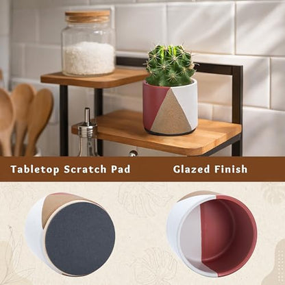 D'vine Dev 2-Pack Cachepot with Clear Pot, 3.5 in, Crimson Dune, 93-V-A-4 | Dual-Pot System, Root Visibility, Bottom Watering Support, Enhanced Drainage, Artistic Stoneware Design, Easy Plant Care - color: Crimson Dune, size: 3.5” Cachepot + 3“ Clear Grow