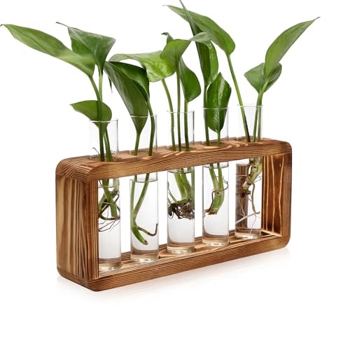 Glass Plant Propagation Station with 5 Test Tubes Colorful Planter Vase | Birthday Gifts for Women Mom Plant Lovers Office Home Decoration