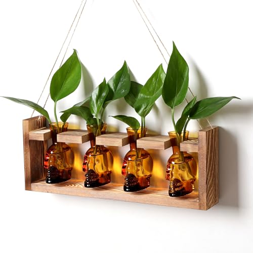 Plant Propagation Stations Halloween Skull Plant Terrarium Kit | Glass Vases Gift for Father Air Planter Home Office Decor - color: Amber