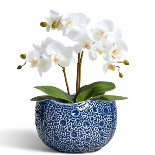 Orchid Pot - 6 Inch Ceramic Plant Pot for Indoor Outdoor, Round Unique Planters with Drainage Hole, Modern Round Decorative Flower Pots, Home Decor, Gifts for Plant Lovers, Blue - color: Blue, size: 6.2 Inch