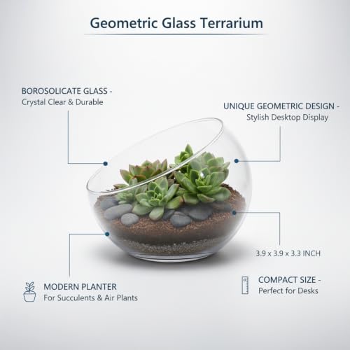 Geometric Glass Terrarium, Borosilicate Planter for Succulents and Air Plants, Desktop Display Vessel (1 PC)