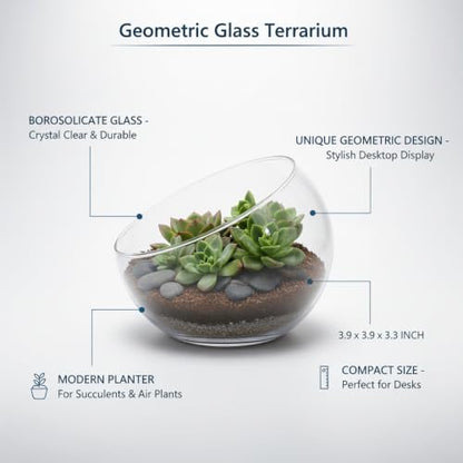 Geometric Glass Terrarium, Borosilicate Planter for Succulents and Air Plants, Desktop Display Vessel (1 PC)
