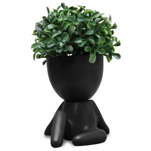 Zerzsy Cute Faux Succulent Desk Decor, Small Fake Plants Decor for Bedroom and Bathroom, Lovely Faux Succulent Desk Decoration for Office and Home - Set of 1 - color: Black-e