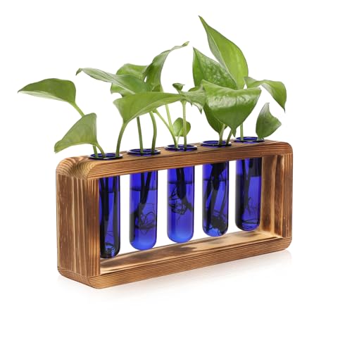 Glass Plant Propagation Station with 5 Test Tubes Colorful Planter Vase | Birthday Gifts for Women in Wooden Stand - color: Blue