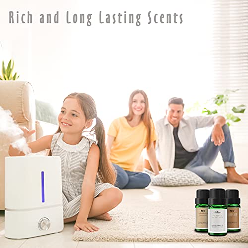 Fragrance Oils, MitFlor Winter Essential Oils for Diffusers for Home, 6 x10ml, Soap & Candle Making Scents, Premium Holiday Aromatherapy Gift Set -Frosty Fir, Hot Spring, Fireplace & More