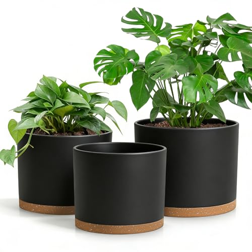 Large Plant Pots Set of 3 – 8", 9", 10" Indoor Flower Pots with Drainage Holes and Saucers, Big Planters for Monstera, Fiddle Leaf Fig, Snake Plant – 5 Colors - color: Black With Brown Base