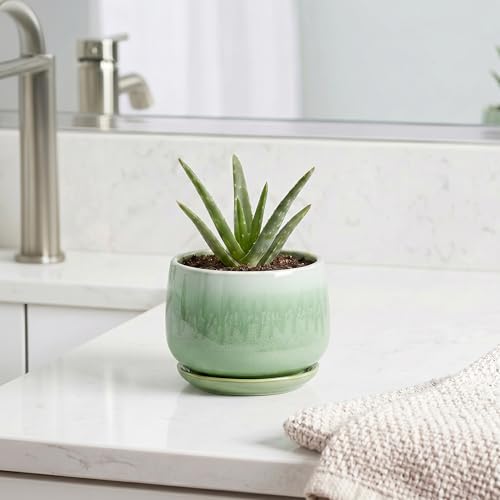Ceramic Plant Pots - 4 Inch Pots for Plants with Drainage Hole and Saucer, Small Succulent Pot for Indoor Plants, Round Ceramic Planter, Home Office Decor, House Warming Gifts, Green - size: 4 Inch, style: Green