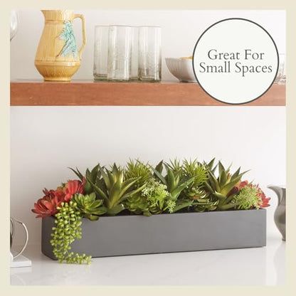 CG Hunter Oblong Faux Succulent Arrangement, Premium Artificial Indoor Plant Enhances Interior Design, Display on any Surface in Your Home Adding an Inviting Touch of Nature, Grey Planter Pot Included - size: 27" Oblong Grey