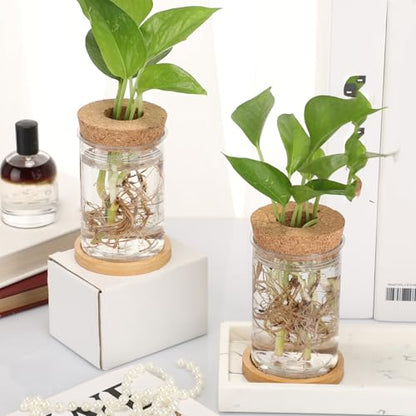 9 Packs Propagation Vases for Plants Plastic Plant Propagation Station with Hole Lid and Bamboo Stand Growing in Water Hydroponic Home Office Table Decoration(Classic Style) - style: Classic