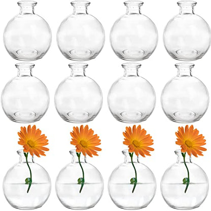 SOUJOY Set of 12 Small Glass Ball Bud Vase, Unique Mini Low Sitting Flower Vase, Clear Floral Centerpieces for Home Decor, Weddings, Floral Arrangements, Events, Parties