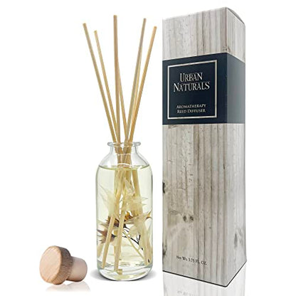 Reed Diffuser Set, Cedarwood & Vanilla - Bathroom Décor | Made with Essential Oils & Real Botanicals, Cedar, Oak and Moss, Made in the USA - color: Cedarwood & Vanilla