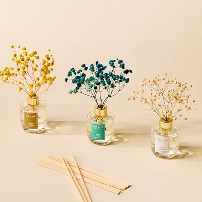 Reed Diffuser Set of 3,Clean Cotton White Jasmine White Tea Oil Reed Diffusers for Bedroom Living Room Office Aromatherapy Oil Reed Diffuser for Gift 50ml x 3