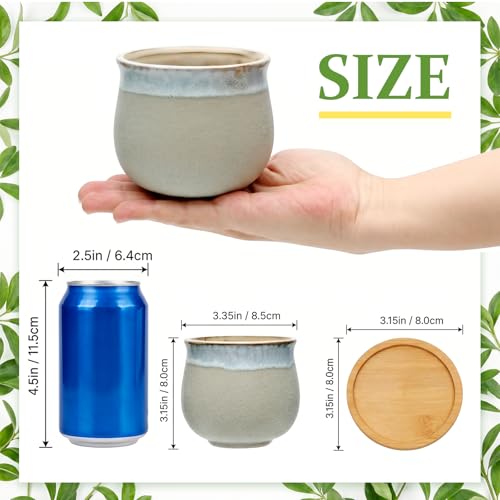 3.5 Inch Succulent Pot with Drainage,Planting/Flower Pots | Small Planter Pot for Mini Plant Ceramic Flowing Glaze Base Serial Set with Holes,Flower Pots with Tray for Home - size: 3.5inch-6pack