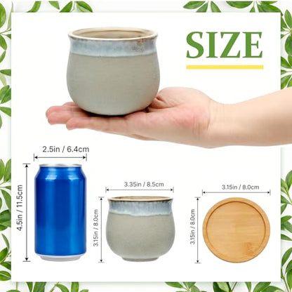 3.5 Inch Succulent Pot with Drainage,Planting/Flower Pots | Small Planter Pot for Mini Plant Ceramic Flowing Glaze Base Serial Set with Holes,Flower Pots with Tray for Home - size: 3.5inch-6pack