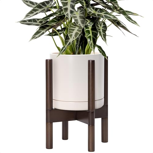 D'vine Dev Ceramic Pot with Walnut Wood Stand, Oatmeal, 8 in, 55-B-Y-8 | Mid-Century Modern Design, Raised Plant Display, Solid Beech Wood Stand, Premium Craftsmanship, Sophisticated Home Decor - color: Oatmeal Pot + Walnut Color Stand, size: 8 Inch