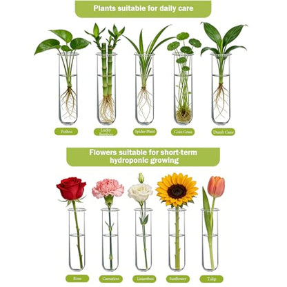XXXFLOWER Wall Hanging Propagation Station with Wooden Stand 5 Glass Test Tubes 3 Tiered Planters Wall Terrarium for Home Office Plant Hanger Flower Vases Wall Decor Hydroponic Cuttings | 3 Tiers Plant Propagation Tubes Wall Decor Hydroponic Cuttings Plan