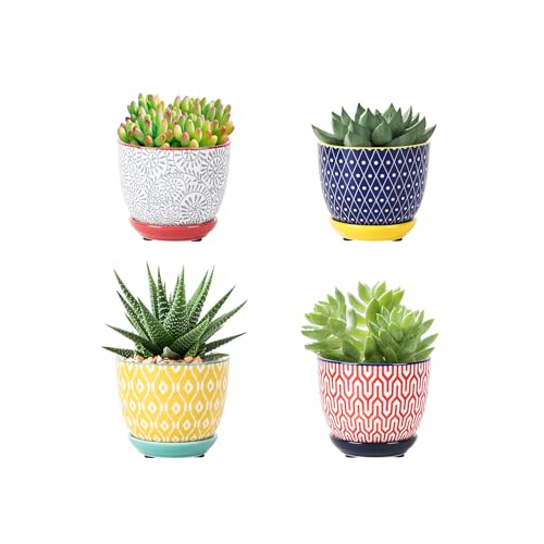 Selamica Ceramic Succulent Pots with Drainage Holes, Small Flower Pots 3.5 Inch Plant Pots for Indoor Plants with Saucers, Cactus Succulent, Home Decor, Set of 4, Assorted Colors - color: Assorted Colors, size: 3.5 Inch, Set of 4