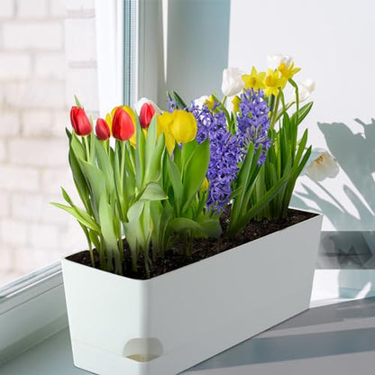 2 Pack Self Watering Pots for Indoor Plants 17 Inches Window Boxes Planters Rectangular Flower Pots Rectangle Herb Pots Large Plant Pots with Drainage Holes and Saucers Windowsill Planter, White - color: White