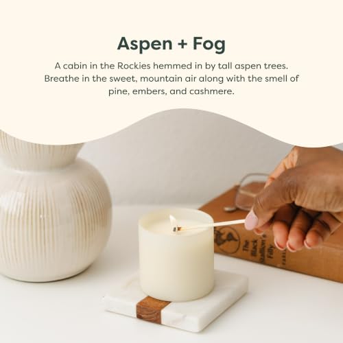 Dignity Series Aspen & Fog Scented Candle - 35 Hour Burn | Made in the USA Luxury Clean Soy Wax Candles - Long Lasting Ivory Glass Jar Candle for Home - 1 Wick - 5.3oz - color: Aspen + Fog