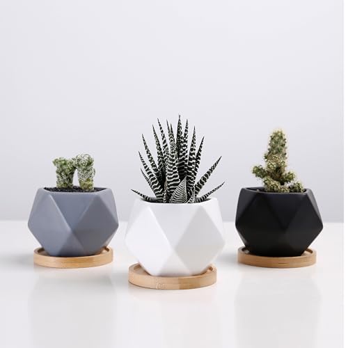 Modern Geometric Ceramic Succulent Pots 3" Planters with Drainage | Bamboo Tray | 3 Pack - color: White Black Grey Geometric 3"