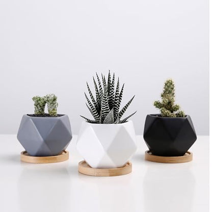 Modern Geometric Ceramic Succulent Pots 3" Planters with Drainage | Bamboo Tray | 3 Pack - color: White Black Grey Geometric 3"