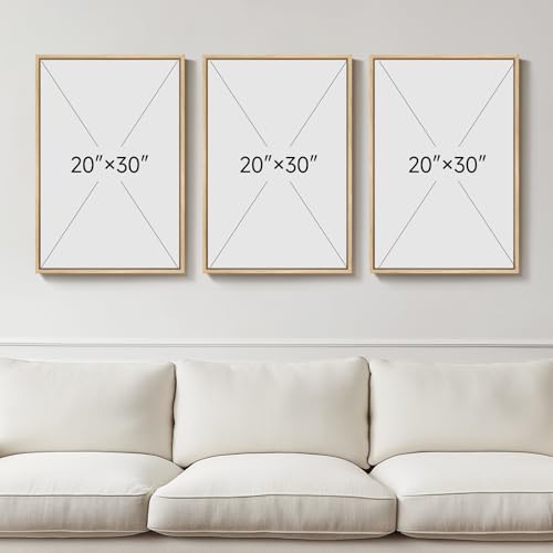 Framed Matisse Wall Art, 3 Piece Large Canvas Abstract Art Prints for Living Room, Henri Matisse Famous Landscape Painting Picture - Total Size 30x60 - color: Abstract Landscape, size: 20"W x 30" H x 3Pcs