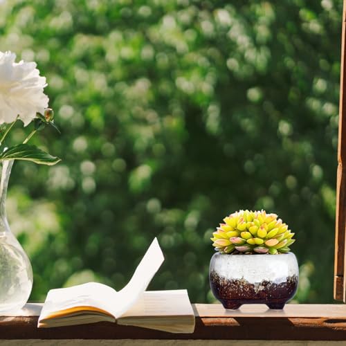 ARTKETTY Succulent Pots, 4.7 Inch Small Plant Pots with Drainage Pack of 5 | Ceramic Planters for Indoor Cactus Plants Glazed Flower Plant Container - color: 4.7"-rectangular(5pcs)