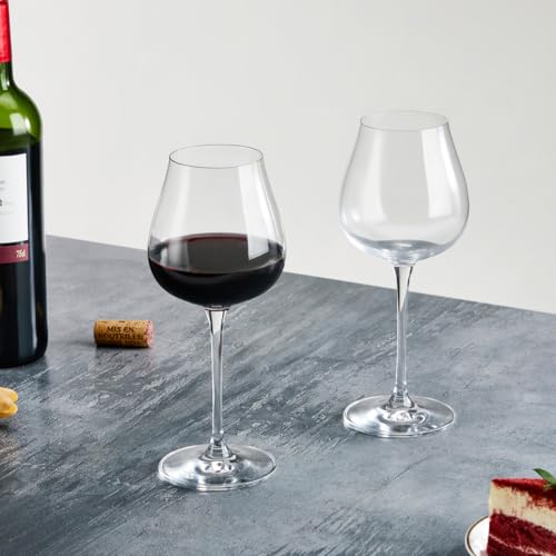 Wine Glasses Set of 2, 17.2 oz Hand Blown Clear Crystal Glass | Long Stem Red/White Wine Glasses with Stopper and Pourers, Unique Gift for Birthday, Wedding, Anniversary