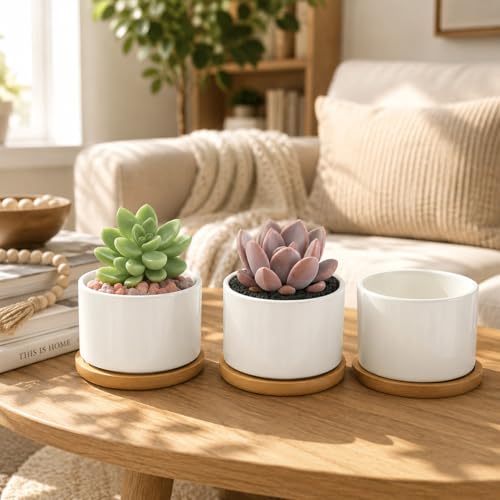 ZOUTOG Ceramic Succulent Pots,3.6 Inch Plant Pots,Succulent Planters with Drainage Hole & Bamboo Tray for Indoor Plants,White Small Flower Planters for Home,Office,Desk(6 Pack) - size: 6 pack