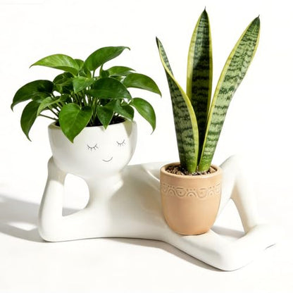 Funny Planters Pots Head Funny Cute Succulent Plant Pots Face Head Planter Unique Bathroom Planters Lazy Guy Little Character Flowerpot - Small Ceramic Pots for Indoor Plants with Drainage