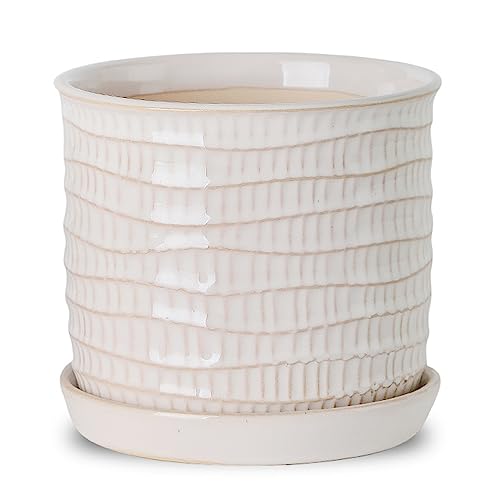 5.8 Inch Ceramic Planter with Drainage Hole & Bonded Saucer | Indoor/Outdoor Plant Pot with Tray - Flowerpot for Home/Office - Wave Embossed - color: Wave Embossed, size: 6 inch
