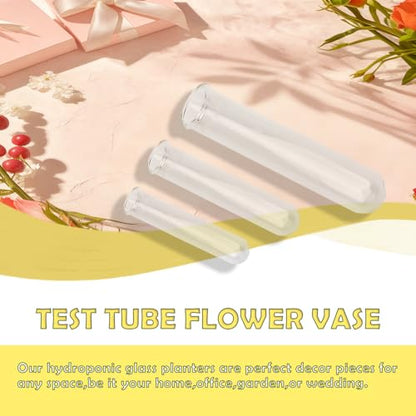 11 Pack Clear Glass Test Tubes Plant Propagation Station, 3 Sizes Wall Hanging and Desktop Glass Plant Propagation Station Hydroponic Vases for Home and Office Decor, Round Bottom