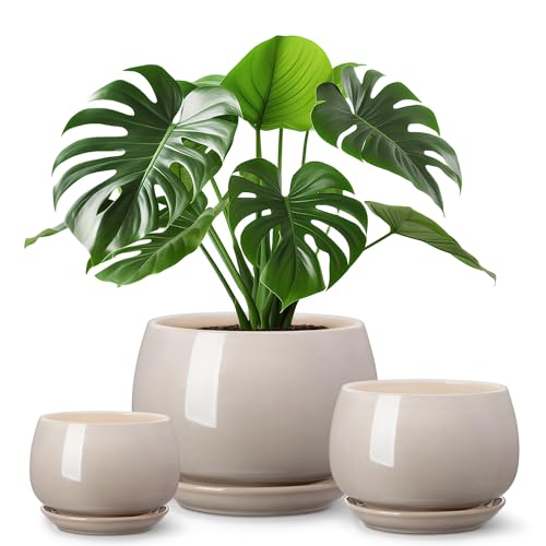 vancasso 3-Pack Ceramic Plant Pots, 3.7/4.8/6.2 Inch Indoor Planters with Saucers & Drainage Hole Planter pots for Indoor Plants and Flower, Gray - color: Gray, size: Small-3pcs/Set