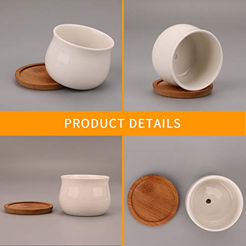 Succluent Pots ，Small Flower Pots Planter Pots with Drinage,Ceramic Flowers Pots with Bamboo Tray for Cactus(12 Pack | Ceramic Flowers Pots with Bamboo Tray for Cactus,Planter Pots for Home,Kitchen