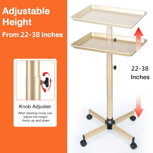 Salon Tray on Wheels, Champagne Gold Salon Tray Cart with Adjustable Height, Hair Stylist Tray, Metal Tattoo Tray, Suitable for SPA and Dental Tray - color: Champagne Gold