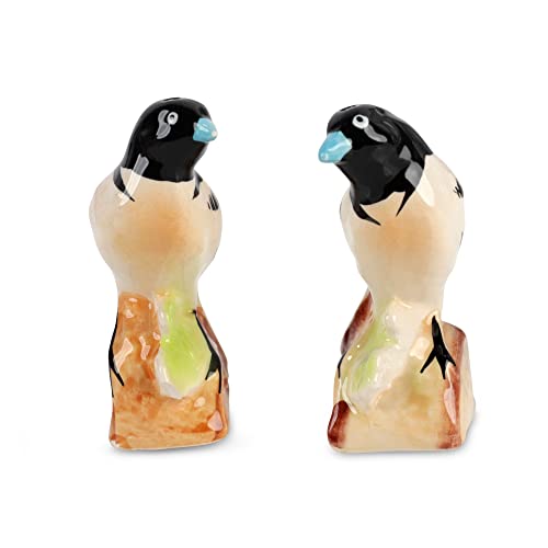 Ceramic Bird Salt and Pepper Shaker Collectors Kitchen Decor - Retro Bird - color: Retro Bird