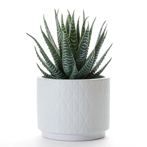 Kurrajong Farmhouse Artificial Succulent Plant in Matte White Ceramic Pot | 7" high Dark Green Aloe Plant | Great as Desk Decor or Bathroom Decor | Beautiful Realistic Faux Succulent