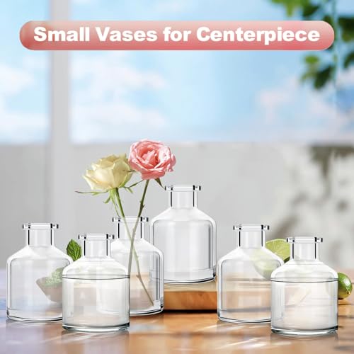 12 Pcs Bud Vases, Clear Glass, 2 x 2.8 Inch | Mini Flower Vases, Small Glass Living Bud Vases Bulk for Flowers Centerpieces, Table, Home and Living Room Decor