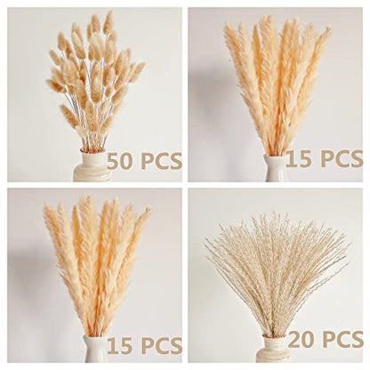Natural Dried Pampas Grass Decor, Beige Pampas Grass, Bunny Tails Dried Flowers, Reed Grass Bouquet for Wedding Boho Flowers Home Table Decor, Rustic Farmhouse Party (100 in Total ) - size: 100PCS-Beige