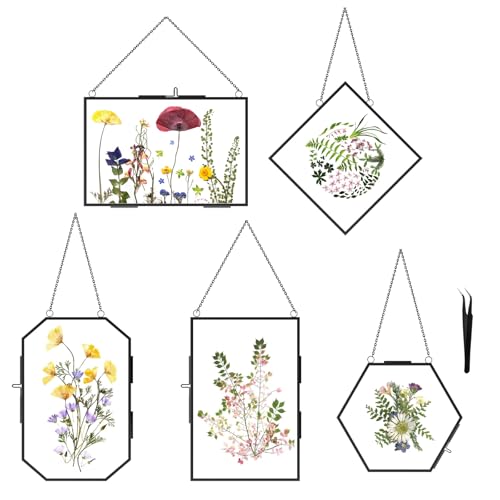 5 Pcs Pressed Flower Frames with Tweezers, Wall Hanging Tabletop Display Double Glass Frames with Metal Chain for Pressed Dried Flowers Plants, Horizontal and Vertical Picture Frame, Black - color: Black-5