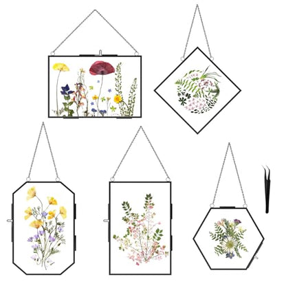 5 Pcs Pressed Flower Frames with Tweezers, Wall Hanging Tabletop Display Double Glass Frames with Metal Chain for Pressed Dried Flowers Plants, Horizontal and Vertical Picture Frame, Black - color: Black-5