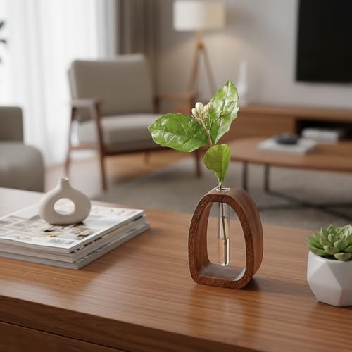 Solid Wood Frame Glass Test Tube Vase Desk Hydroponic Plant, Enhances Home and Office Environment, Small Size (Small) - size: Small Single Tube