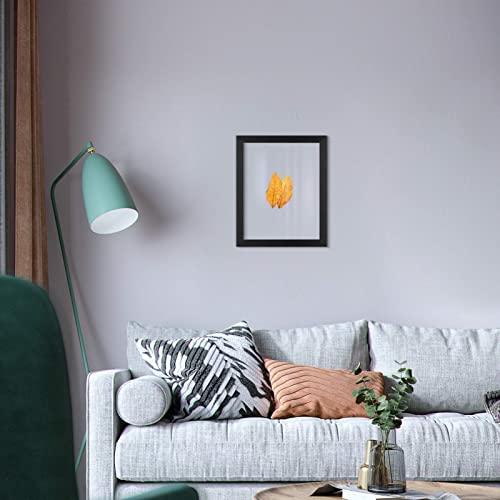 ONE WALL 11x14 Floating Frame, Black Wood Double Glass Float Picture Frame | Floating Picture Frames Display 11x14/8x10/5x7 Inch Photos Plant Petal Specimens for Wall and Tabletop, Mounting Kit Included - size: 11X14