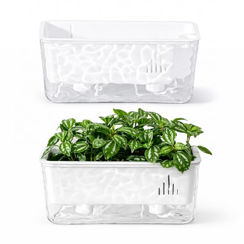 Self Watering Pots for Indoor Plants, 2 Packs Window Boxes Planters Rectangle Self Watering Planter 11 in Rectangular Clear Plant Pots Long Herb Windowsill Planter Flower Box Succulent Planters
