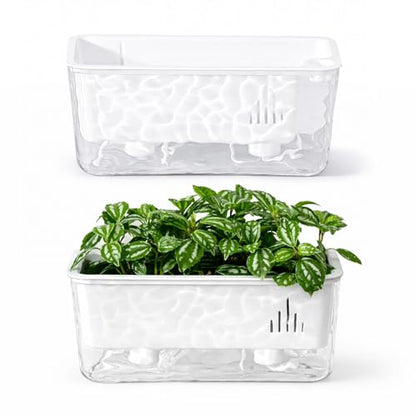 Self Watering Pots for Indoor Plants, 2 Packs Window Boxes Planters Rectangle Self Watering Planter 11 in Rectangular Clear Plant Pots Long Herb Windowsill Planter Flower Box Succulent Planters