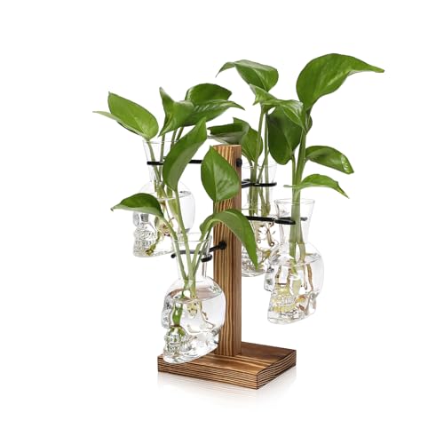 Plants Propagation Stations Skull Glass Propagation Birthday Gift for Women | Garden Plant Lovers - 4 Skull - color: Transparent