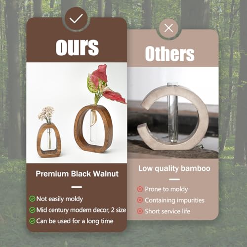 Solid Wood Frame Glass Test Tube Vase Desk Hydroponic Plant, Enhances Home and Office Environment, Small Size (Small) - size: Small Single Tube